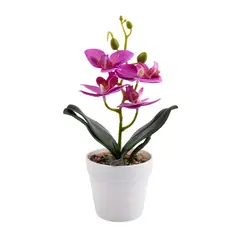 CASA JOVEN - Planta Art Orquideas 8H Surt