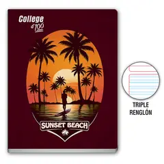 COLLEGE - Cuaderno Triple Renglón Deluxe 100 Hojas