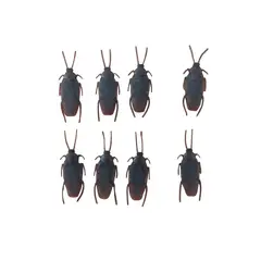 TOTTUS - Set de Cucarachas de Plastico 8 Unidades