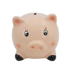 CASA JOVEN - Alcancia Chanchito