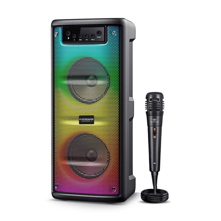 Torre de Sonido 2X4 Ev5422