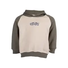 REDWOOD - Sudadera Hoodie Dino Bebé Niño