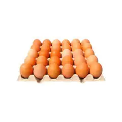 TOTTUS - Huevos Pardos Laminados Bandeja 30 Und