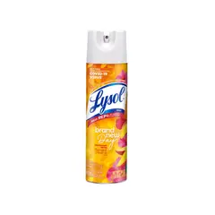 LYSOL - Desinfectante en Spray Brand New Day Mango Hibiscus Envase 538 g