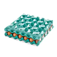 TOTTUS - Huevo Pardo Laminado Bandeja 30 Und